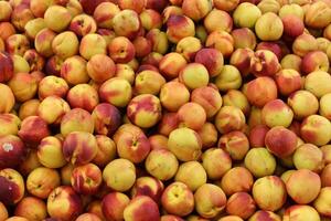 frutas y vegetales son vendido a un bazar en Israel. foto