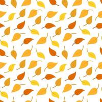 Autumn leaves pattern design vector