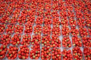 frutas y vegetales son vendido a un bazar en Israel. foto