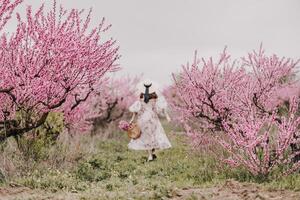 Woman blooming peach orchard. Against the backdrop of a picturesque peach orchard, a woman in a long dress and hat enjoys a peaceful walk in the park, surrounded by the beauty of nature. photo