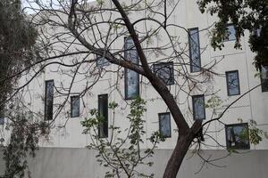 Buildings and structures in Tel Aviv against the background of branches and leaves of tall trees. photo