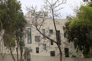 Buildings and structures in Tel Aviv against the background of branches and leaves of tall trees. photo