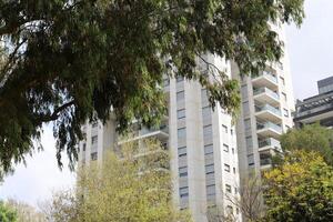 Buildings and structures in Tel Aviv against the background of branches and leaves of tall trees. photo