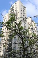 Buildings and structures in Tel Aviv against the background of branches and leaves of tall trees. photo