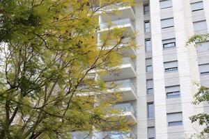 Buildings and structures in Tel Aviv against the background of branches and leaves of tall trees. photo