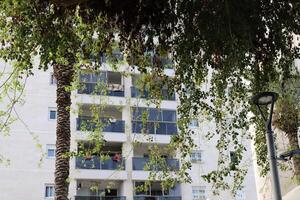 Buildings and structures in Tel Aviv against the background of branches and leaves of tall trees. photo