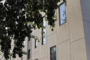 Buildings and structures in Tel Aviv against the background of branches and leaves of tall trees. photo