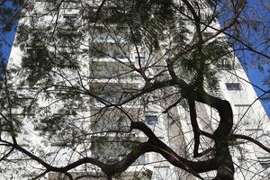 Buildings and structures in Tel Aviv against the background of branches and leaves of tall trees. photo