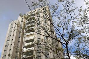 Buildings and structures in Tel Aviv against the background of branches and leaves of tall trees. photo