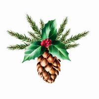 Watercolor hand drawn cone with holly berry, pine branch. New year botanical illustration of pine, spruce, cedar, fir and larch cone isolated on white background. For designers, decoration, shop, vector