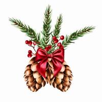 Watercolor hand drawn cone with red satin bow, pine branch and red berries on a branch. New year botanical illustration of pine, spruce, cedar, fir and larch cone isolated on white background. For d vector