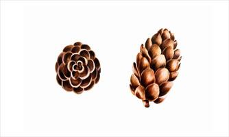 Watercolor hand drawn set of cones. New year botanical illustration of pine, spruce, cedar, fir and larch cone isolated on white background. For designers, decoration, shop, for postcards, wrapp vector