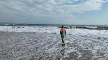 hombre en verde nadar bañador camina en arenoso playa con que se acerca ondas, encarnando ocio viaje y verano vacaciones conceptos video
