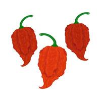 Fresh red carolina reaper vector