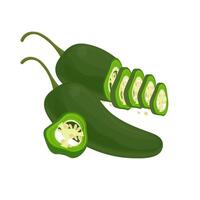 Whole and slice Green jalapeno peppers vector