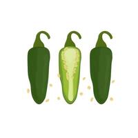 Green jalapeno peppers vector