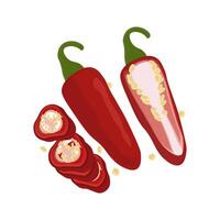 Whole and slice Red jalapeno peppers vector