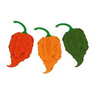 Carolina Reaper in various colors vector