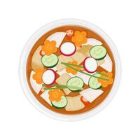 Top view nabak kimchi or korean water kimchi vector