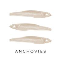 Simple line art Dried anchovies vector