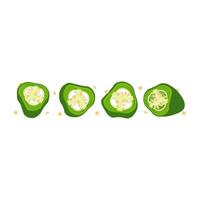 Sliced green jalapeno peppers vector