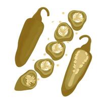 Whole and slice Pickled jalapeno peppers vector