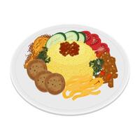 Nasi Kuning or yellow rice or Turmeric rice on a plate vector