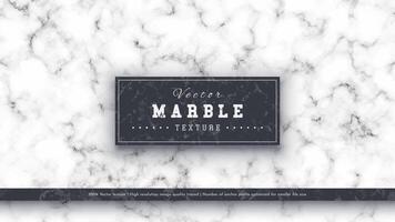 Marble Luxury Texture vector