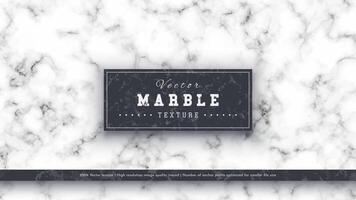 Marble Luxury Texture vector