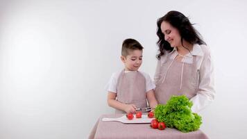 mujer y pequeño chico teniendo un sano ensalada para bocadillo video