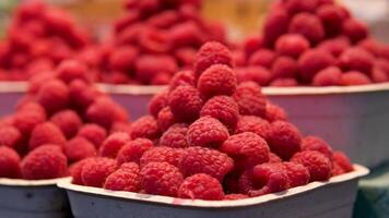 ein voll Schüssel von groß Himbeeren Himbeeren im hölzern klein Box auf das Hintergrund sticken Tischdecken. viele Beeren. video