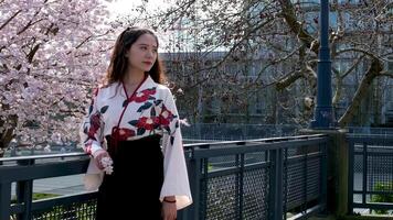 viajero niña caminar hermosa joven oriental niña ondulación su cabeza desarrollando su pelo en contra el antecedentes de Cereza flores en Canadá en Vancouver en un hierro puente sakura flor jardín video