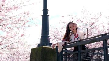 Canada Vancouver all people are photographed in parks against the backdrop of cherry blossoms a girl in a beautiful embroidered oriental blouse is leaning on a bridge video