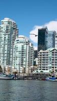 Granville Island Real life skyscrapers people walking kayaking many shops videos from which you can create a clip of the history of news BC sea bass ships people on bicycles seagulls good weather