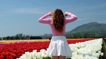 joven mujer tiene un blanco falda rosado chaqueta largo rubio pelo en contra blanco tulipanes un rojo raya en un campo de tulipanes niña en blanco vestir sentado entre flores cerca tulipanes en puesta de sol y lanzar espalda su cabeza video