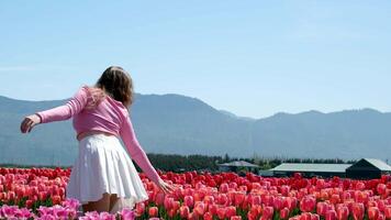 coleção do videos e fotos Onde uma menina dentro uma branco saia anda em através campo com tulipas azul fundo céu montanhas brilhante floração Campos adolescente jovem mulher andar ao ar livre beleza autocuidados