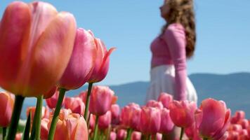 contento donna su fioritura campo di tulipani video