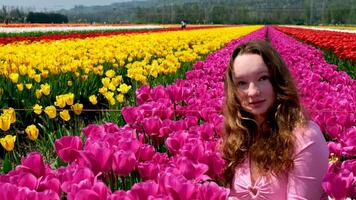 il ragazza sat giù nel un' campo di tulipani un' giovane ragazza si siede nel rosa tulipani e sembra a fiori nel un' riga di giallo tulipani su il grande campo video