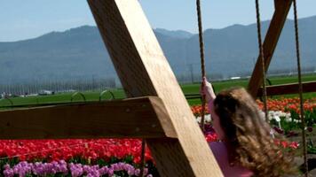 Young attractive blond woman in white summer dress swings on chain swing in coloful tulip fields. Chilliwack. British Columbia. Canada swing tulip field video