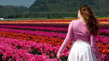 young woman has a white skirt pink jacket long blond hair against white tulips a red stripe in a field of tulips Girl in white dress sitting among flowers near tulips in sunset and threw back her head video