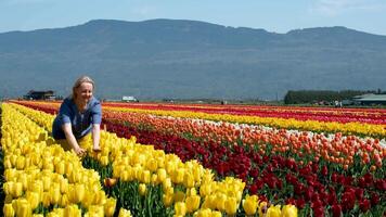 adulto mujer en campo de tulipanes ropa azul amarillo me gusta bandera de Ucrania alegría felicidad en montañas floreciente amarillo flores libertad frescura aire amarillo pantalones azul blusa rubio ordinario hembra video