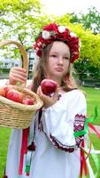 Jeune magnifique fille dans rouge couronne de fleurs sur sa tête rouge coquelicots dans vyshyvanka rouge pommes prendre un Pomme avec mains inhaler odeur bien temps dans jardin pour monde magnifique les filles femmes de le monde video