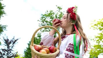 young beautiful girl in red wreath of flowers on her head red poppies in vyshyvanka red apples take an apple with hands inhale smell good weather in garden For world beautiful girls women of the world video