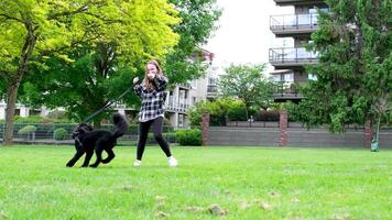 joven adolescente niña jugando con un negro juguetón perro perro Galopando molesto a captura el del propietario mano parque mascotas entretenimiento verano bueno clima residencial zona video