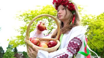 outono colheita menina parece para dentro distância detém cesta do maçãs dentro mãos delicioso frutas ucraniano folk roupas Vyshyvanka guirlanda com fitas e vermelho flores natureza temporadas crescer maçãs dentro jardim video