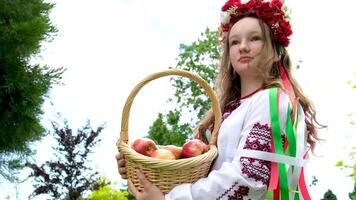 A beautiful girl looks through a basket with Rowan berries in her hands and smiles. Portrait of a beautiful woman next to a Rowan tree. Traditional costume. video