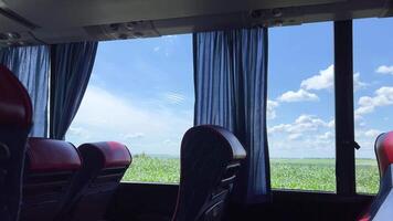 binnen de bus visie van de veld- met blauw lucht wit wolken flikkeren buiten de venster leeg stoelen in comfortabel openbaar vervoer video