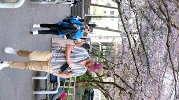 Burrard Station trees bloom in spring near skyscrapers and skytrain station cherry blossom People walk taking pictures against background of flowering trees spring mood life in big city real people video