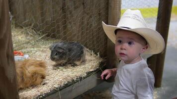 Canada vancouver 17.05.2024 bambini visitare zoo con genitori nel Surrey durante visitare la spesa tempo con famiglia Guardando animali petting video