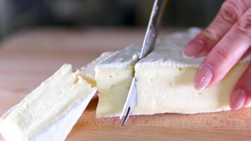 Various fresh dairy products, milk, sour cream, cottage cheese, yogurt and butter on a light stone countertop. video